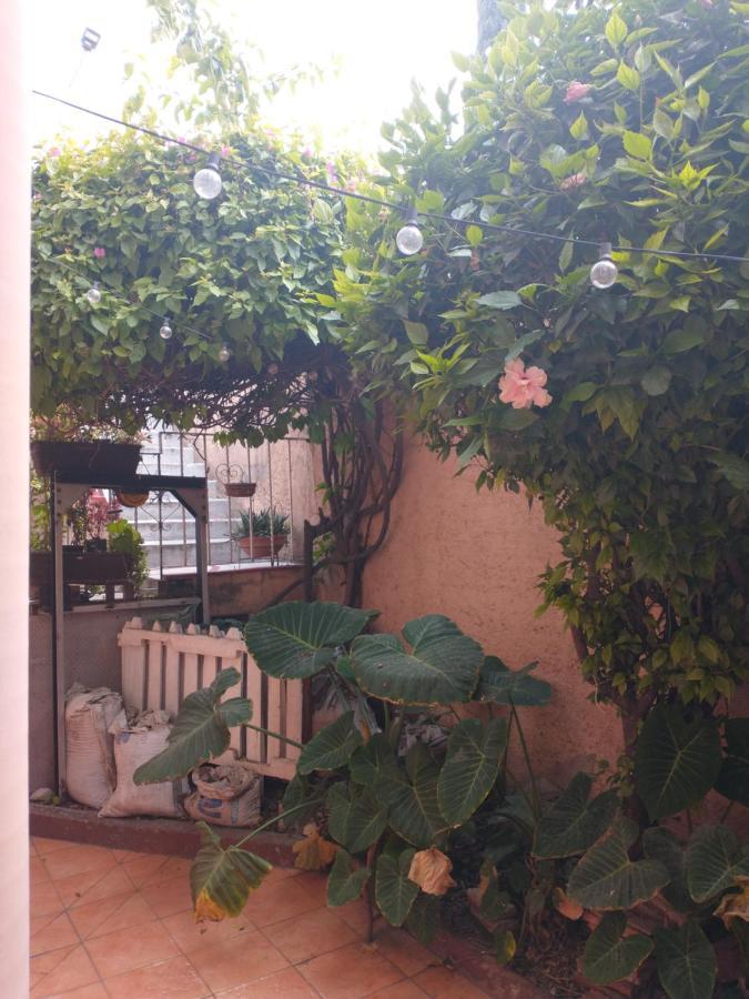 Appartement Relax à Mexico Extérieur photo